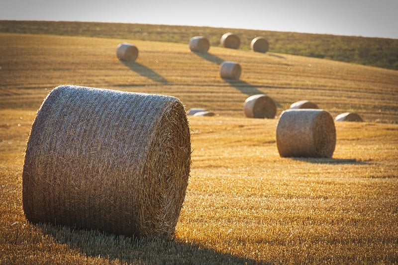 Magic Crop Yield