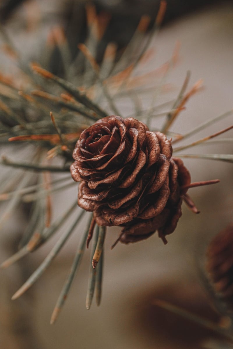 Landscaping Services